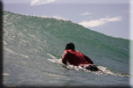 surf